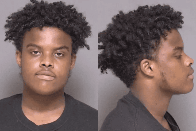 Mohamed Bakari Shei Rochester Minnesota Judge Jacob Allen - Jail The Judges